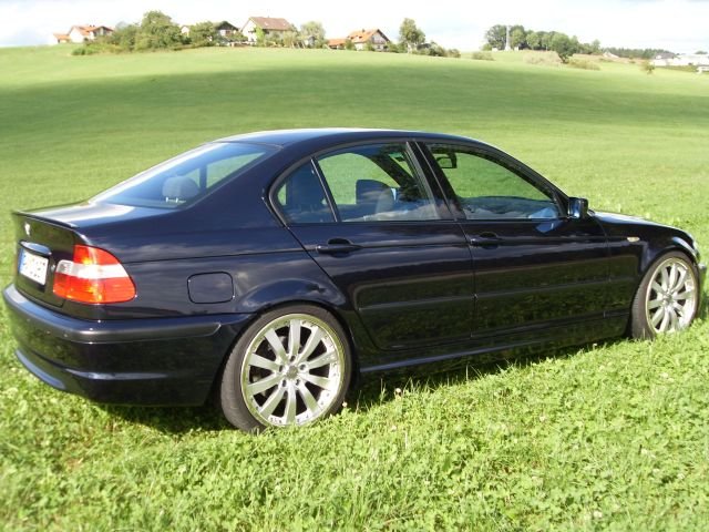 SDC10008.jpg
