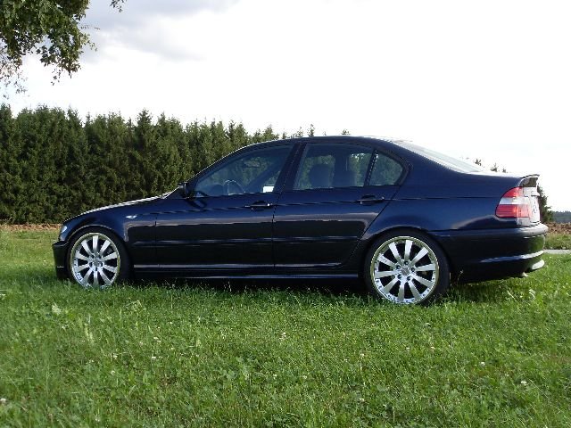 SDC10005.jpg