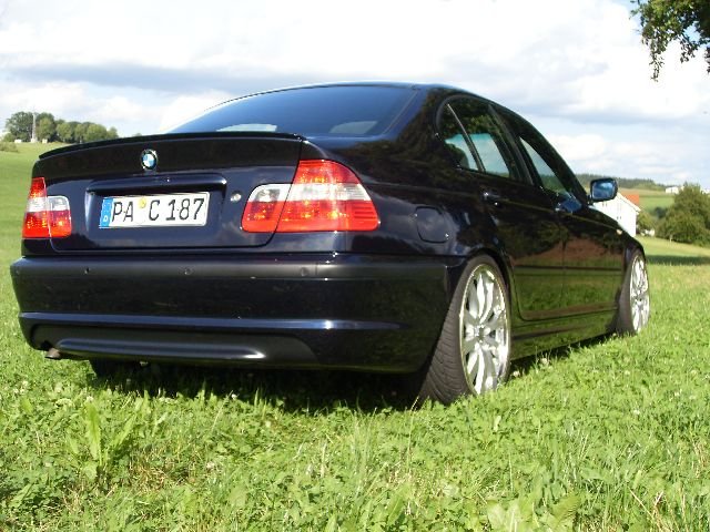 SDC10007.jpg