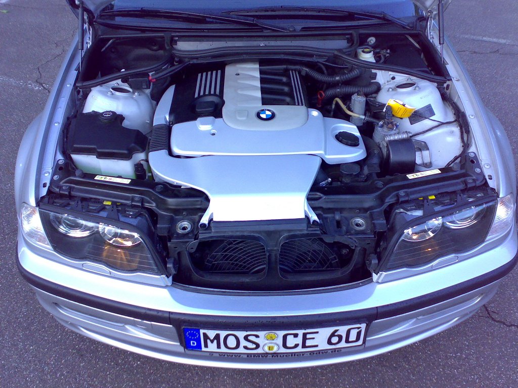 01062008100.jpg