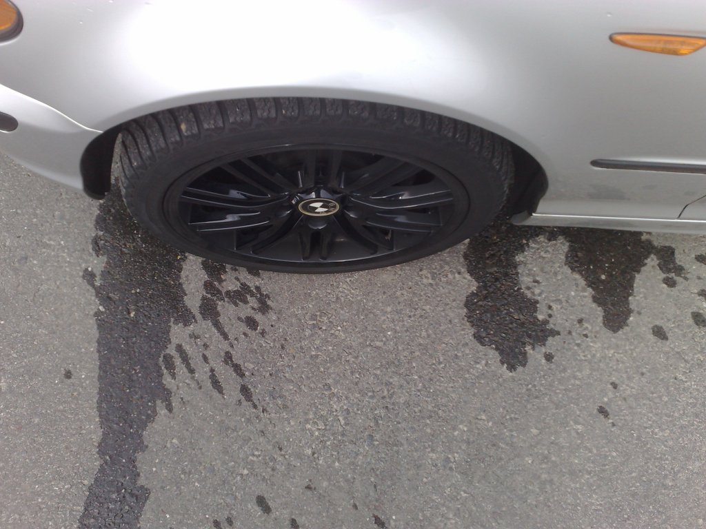 14032010194.jpg