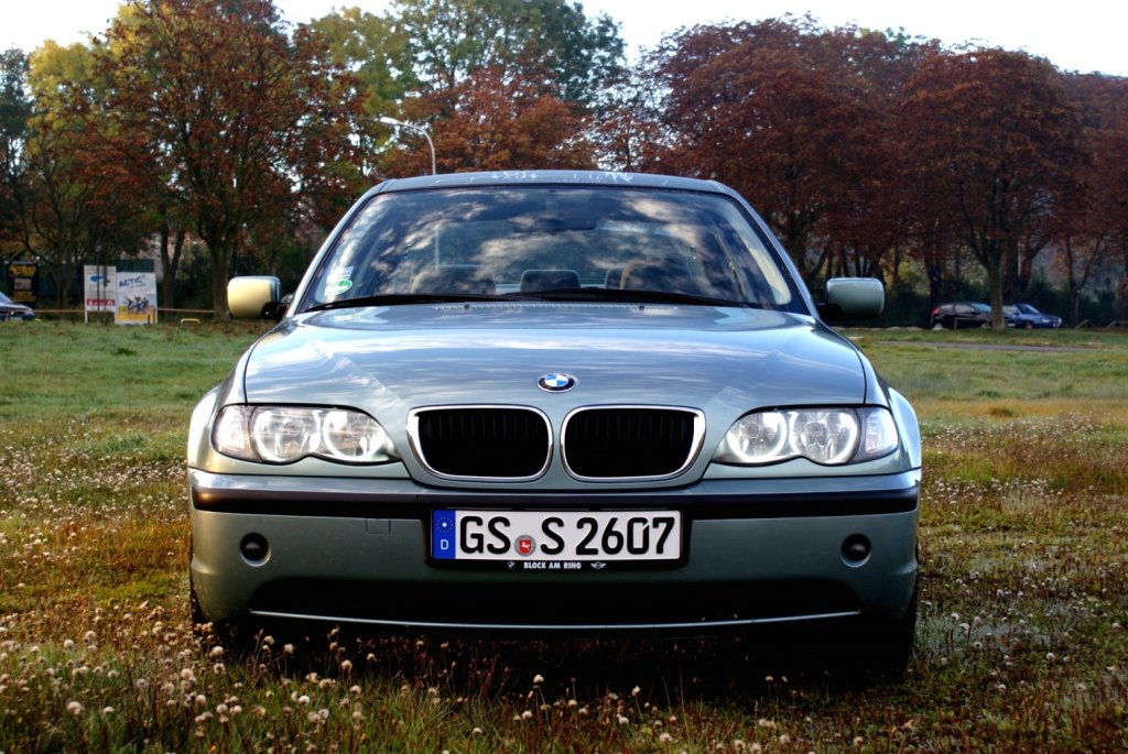 DSC03683-2.jpg