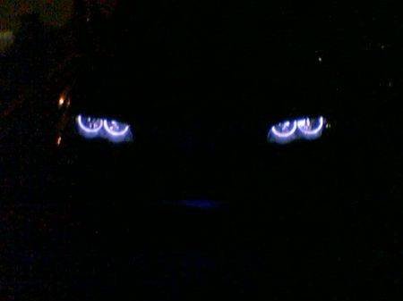 galerieBMW-E46-Lim--wvHI.jpg