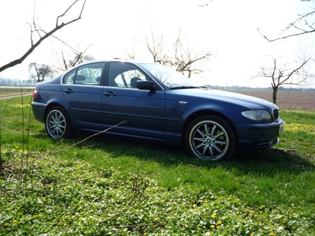 Mein Bluestar