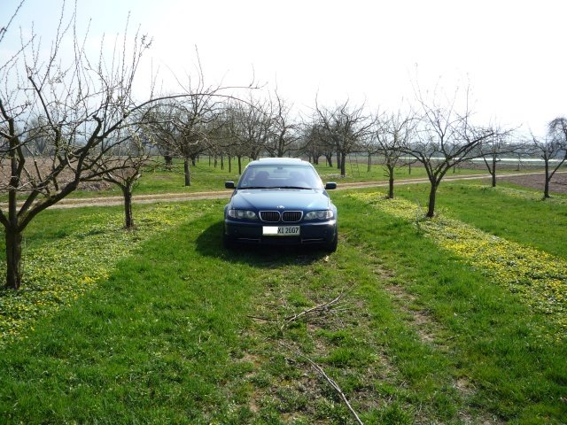 BMW 2.jpg