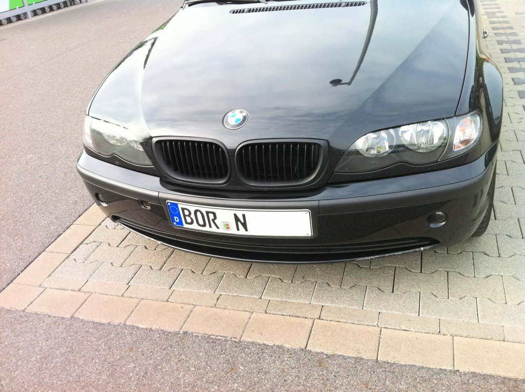 2011.05.19_schwarze Nieren2_oN.jpg