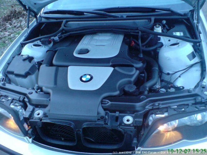 Motor