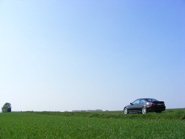 DSCF3772.JPG