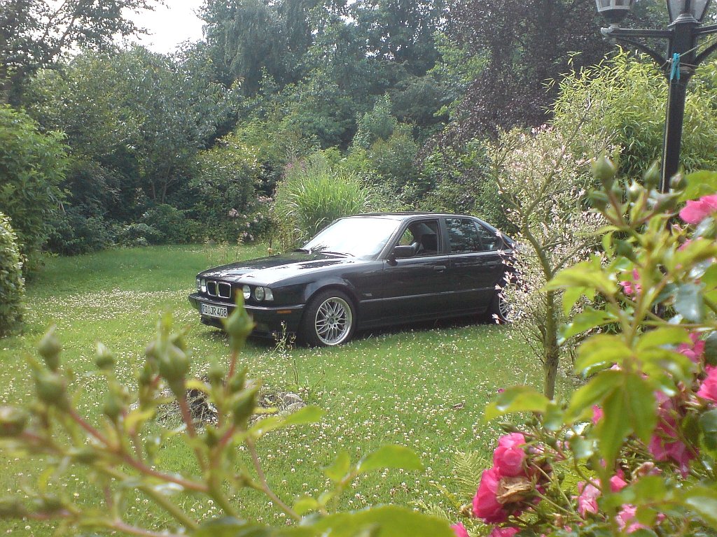 DSC00360.jpg