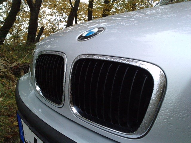 P311011_10.030003.JPG