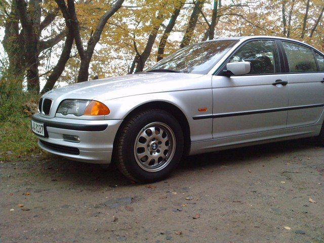 P311011_10.030001.JPG