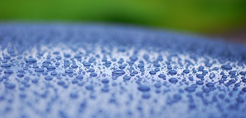 DSC_4736 (800x385).jpg