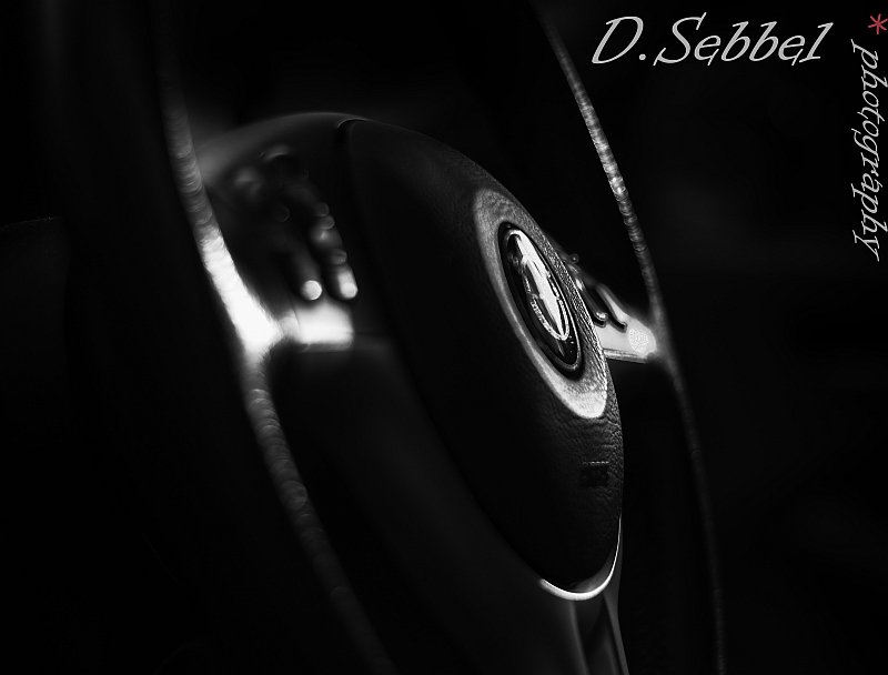 DSC_0075 (800x).jpg