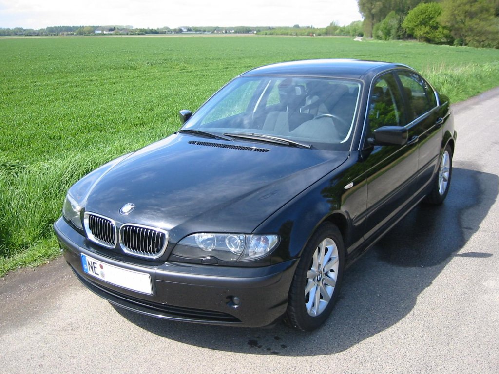 b3.JPG
