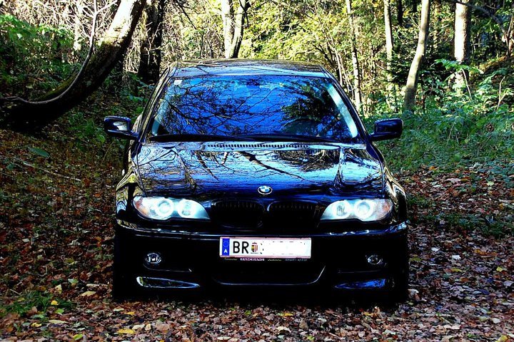 bmw2.jpg