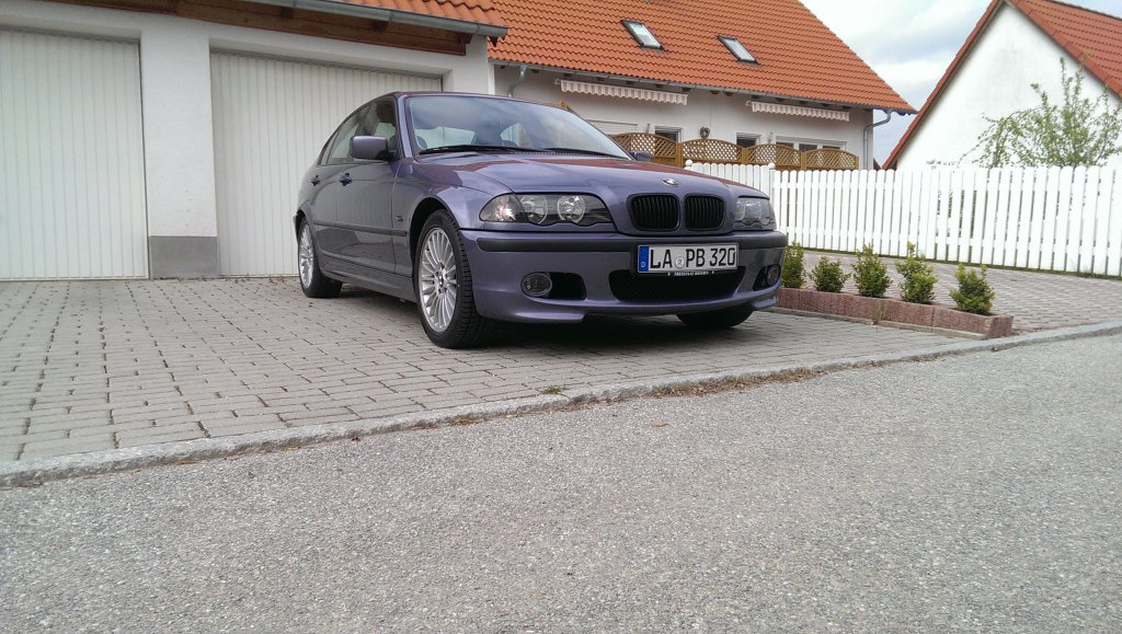 IMAG0249.jpg