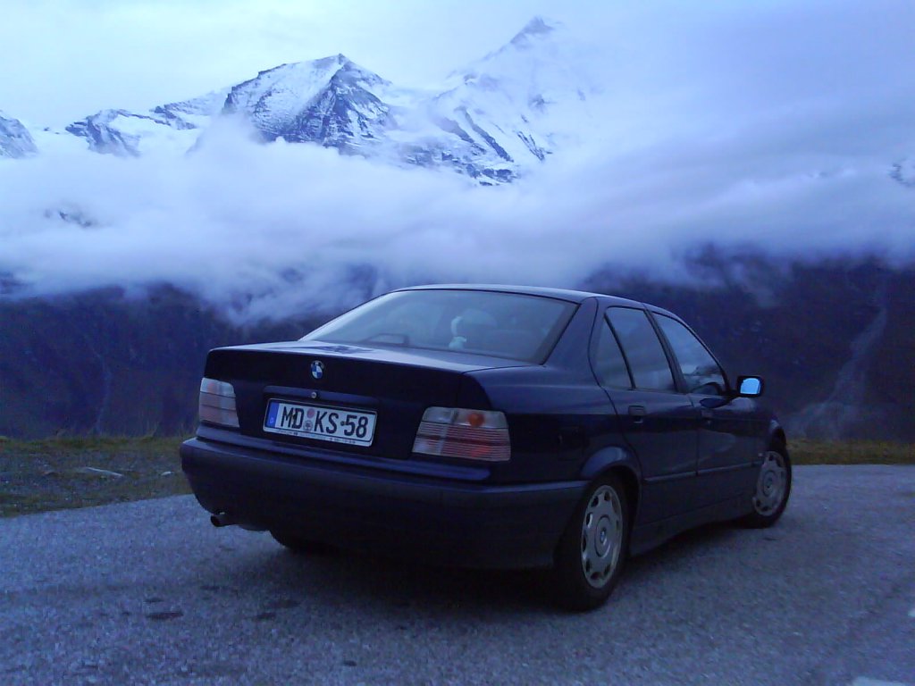 der Alte in den Alpen