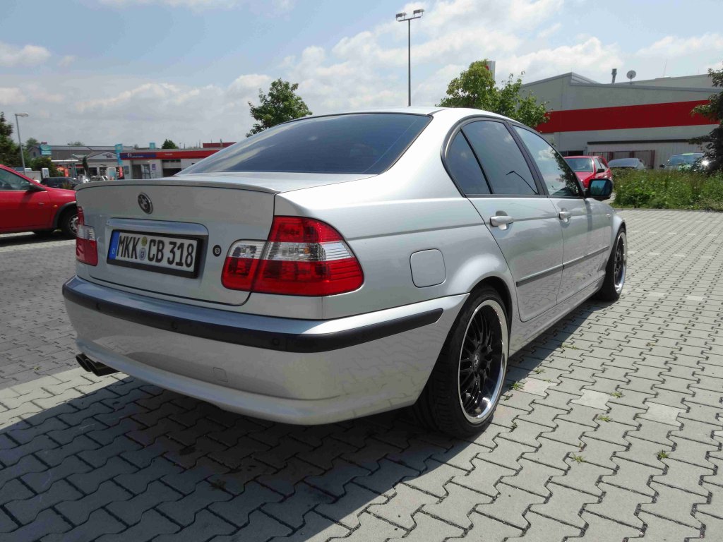 Mein Dicker aktuell