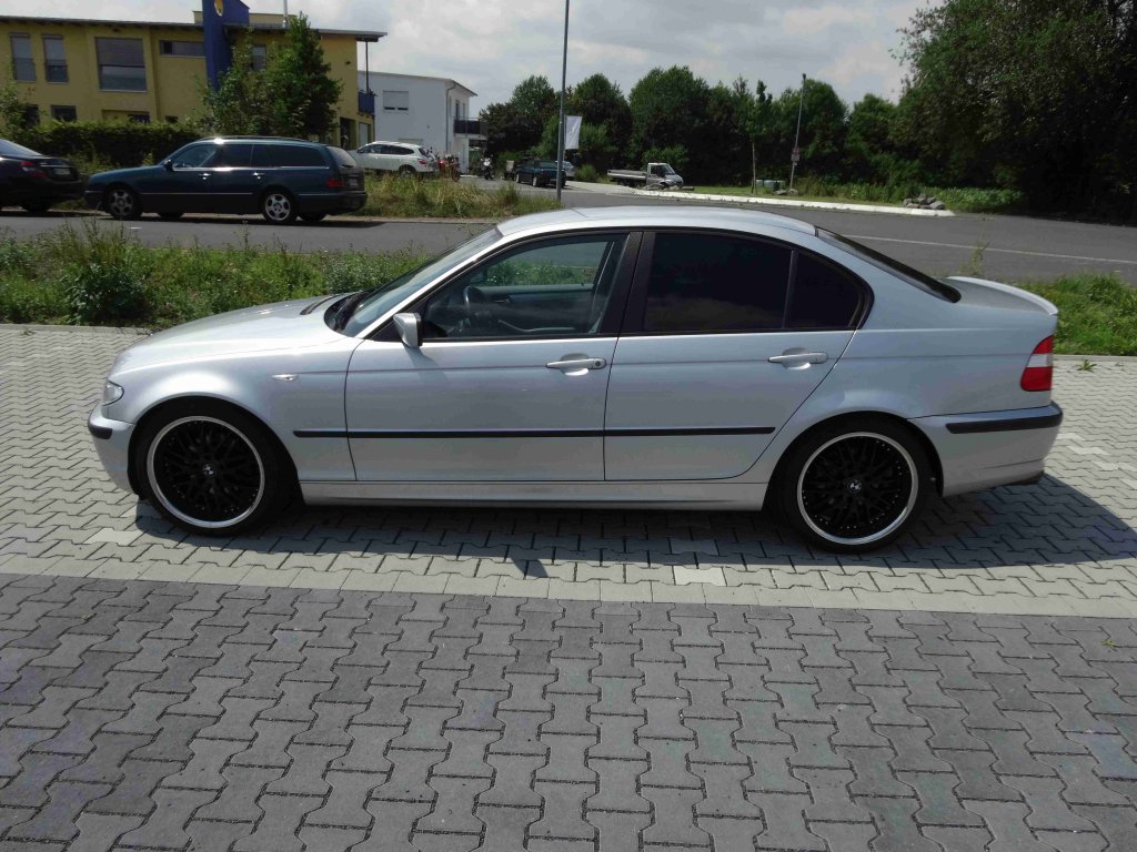Mein Dicker aktuell