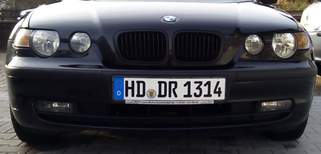 Neue Niere.jpg