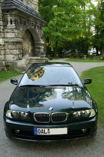 Der Don 8#