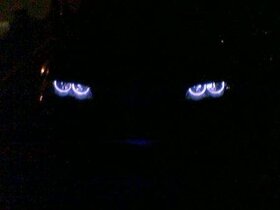 galerieBMW-E46-Lim--wvHI.jpg
