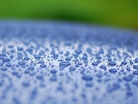 DSC_4736 (800x385).jpg